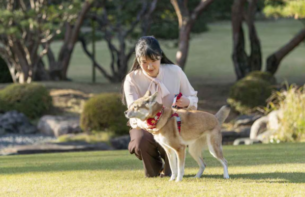 愛子さま